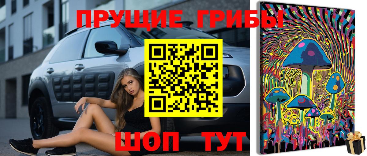 Галлюциногенные грибы прущие грибы Лесосибирск